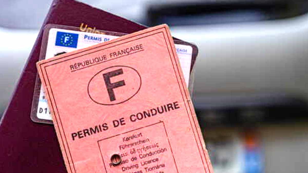 permis de conduire